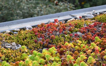 the cost of Mealabost Bhuirgh green roof installation