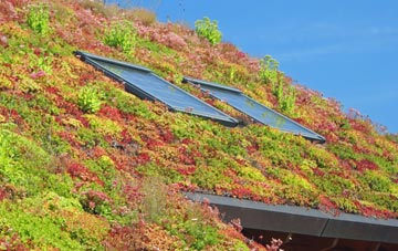 Mealabost Bhuirgh living roof systems